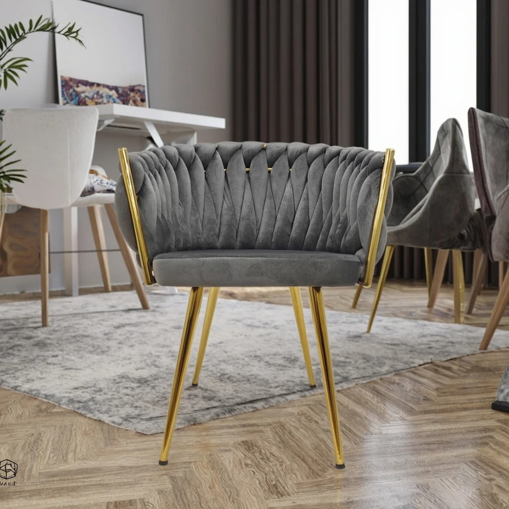 RSE Velvet Shell Back Cafe Chair with Gold Metal Legs, Modern Accent Armrest, Premium Designer Seating for Cafe, Dining & Living Areas