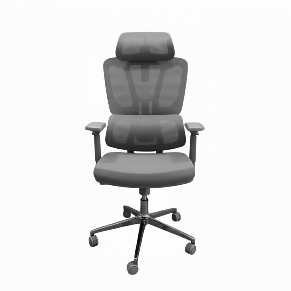 RSE Ergonomic Office Chair with Adjustable Armrests Mesh Back Cushioned Seat Swivel Wheels for Desk Work Home Office Conference Room Support Comfort
