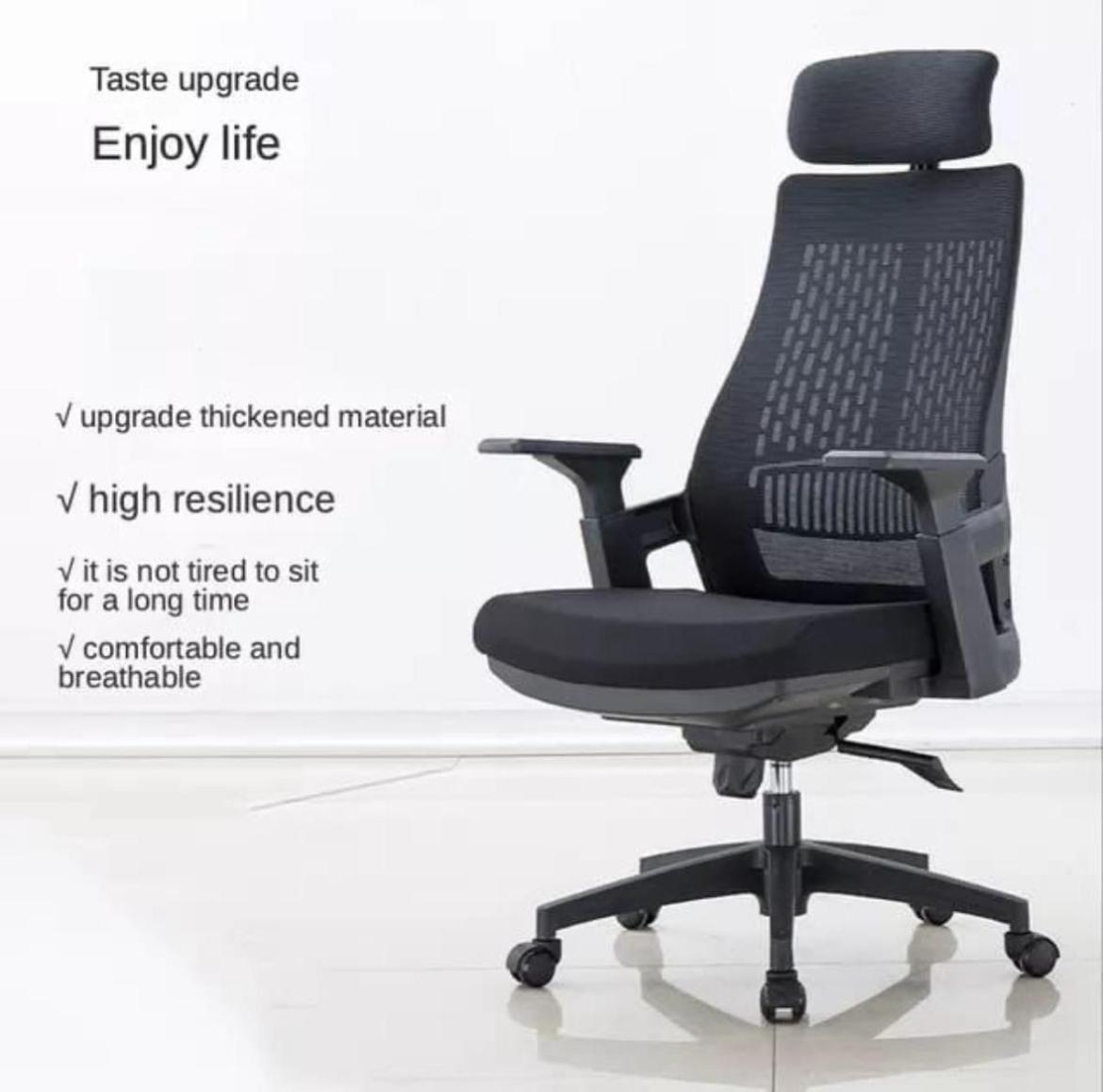 RSE Ergonomic Office Chair with Adjustable Headrest Breathable Mesh Back High Resilience Cushion Comfortable Desk Chair for Office Home Workstation