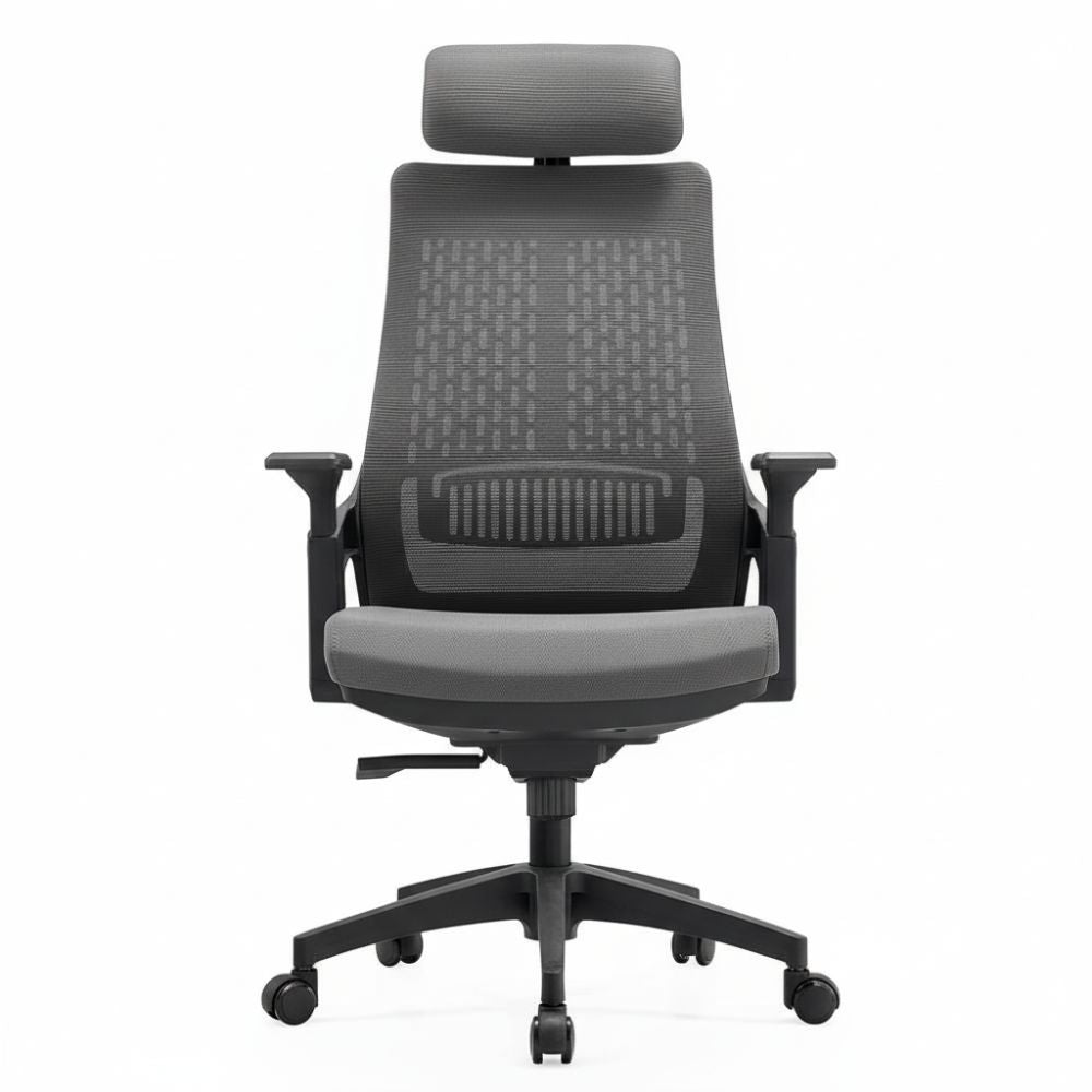 RSE Ergonomic Office Chair with Adjustable Headrest Breathable Mesh Back High Resilience Cushion Comfortable Desk Chair for Office Home Workstation