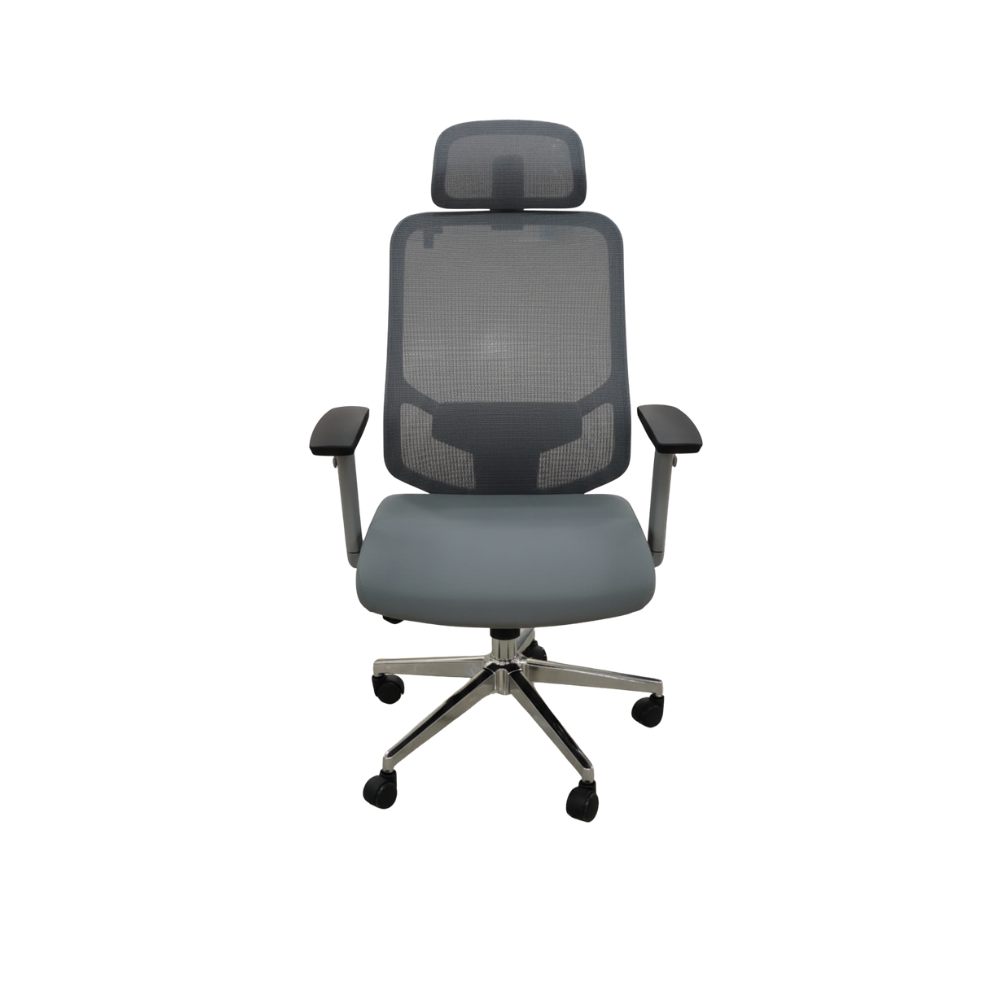 814 Ergonomic High Back Mesh Office Chair with Adjustable Headrest & Lumbar Support | Premium Revolving Chair with Chrome Base & Smooth Castors for Office & Home