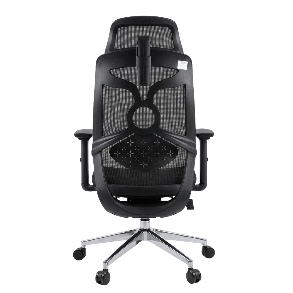 RSE 2259LR Ergonomic Mesh Office Chair with Headrest | High Back Adjustable Computer Chair | Breathable Office Chair for Workstation & Home Office