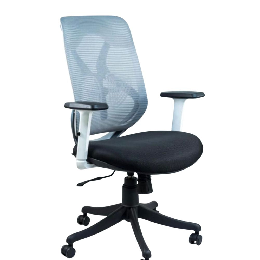 RSE Office Chair with Ergonomic Mesh Back, Adjustable Height, Fixed or Adjustable Handles, Breathable Support for Work, Study, Gaming