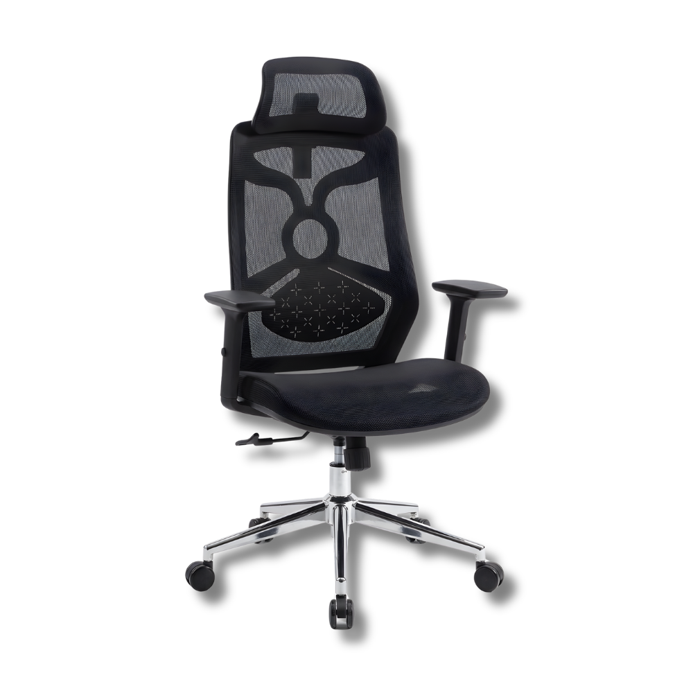 RSE 2259LR Ergonomic Mesh Office Chair with Headrest | High Back Adjustable Computer Chair | Breathable Office Chair for Workstation & Home Office