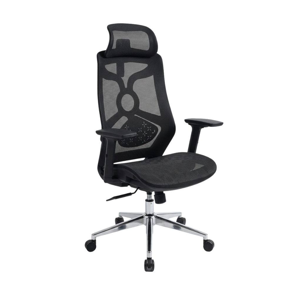 RSE 2259LR Ergonomic Mesh Office Chair with Headrest | High Back Adjustable Computer Chair | Breathable Office Chair for Workstation & Home Office