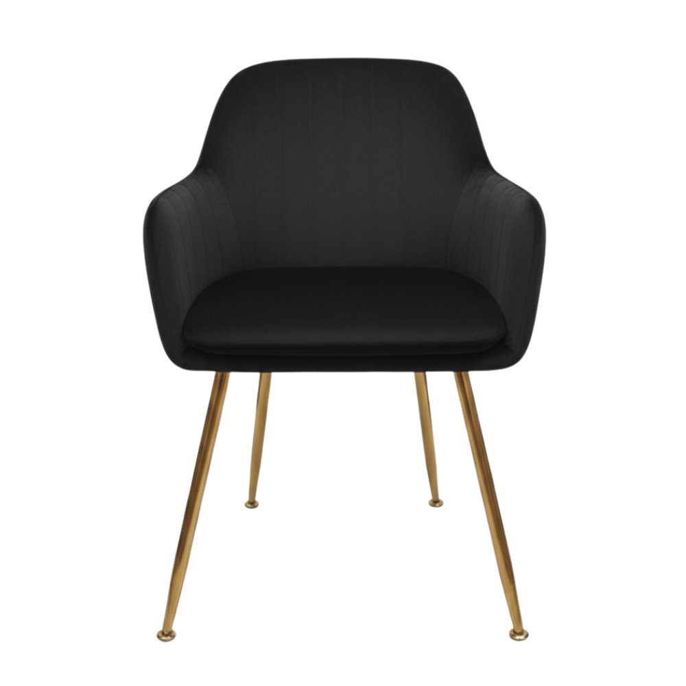 RSE Velvet Cafe Chair with Gold Metal Legs, Modern Armrest, Comfortable Seating for Dining Room, Cafes & Living Spaces