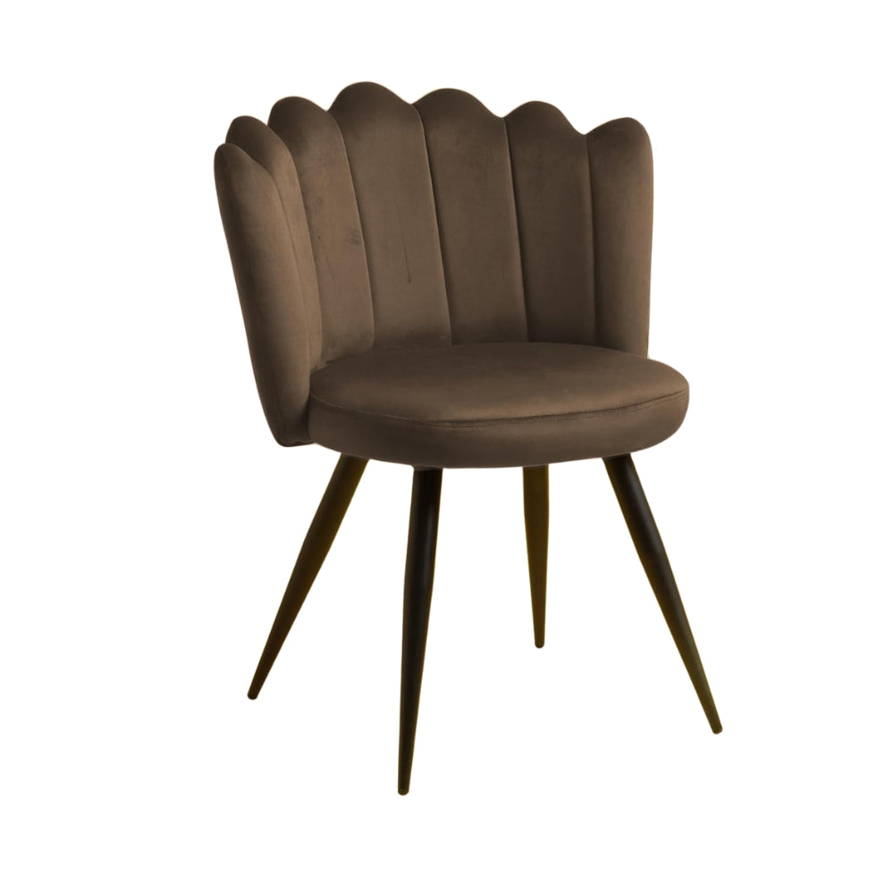 RSE Velvet Bar Chair with Shell Backrest, Cafe Accent Seating, Comfy Cushion, Black Legs, Elegant Design for Home & Restaurant