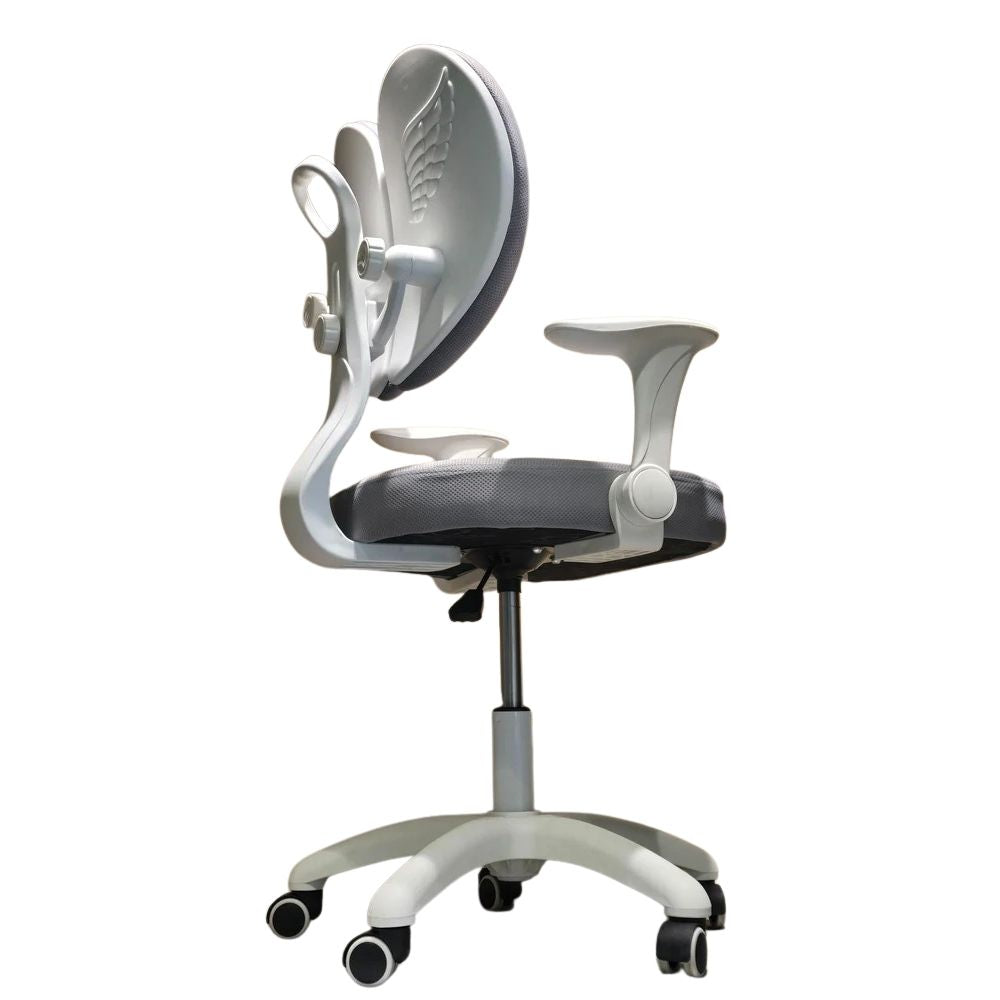 RSE Ergonomic Office Chair with Dual Back Support Adjustable Armrests Smooth Wheels Breathable Seat for Comfortable Work Study at Home or Office