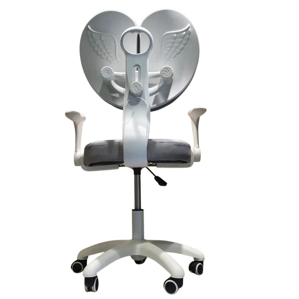 RSE Ergonomic Office Chair with Dual Back Support Adjustable Armrests Smooth Wheels Breathable Seat for Comfortable Work Study at Home or Office