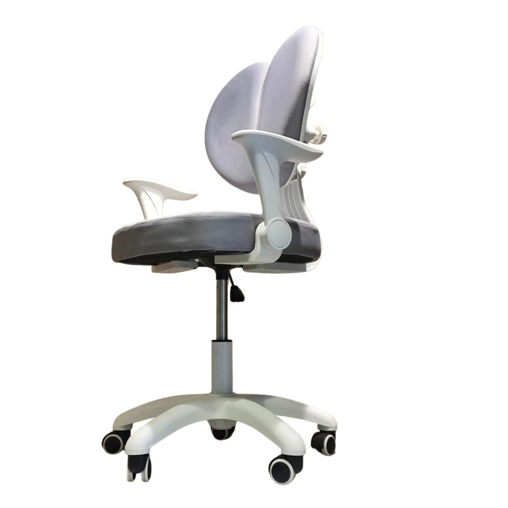 RSE Ergonomic Office Chair with Dual Back Support Adjustable Armrests Smooth Wheels Breathable Seat for Comfortable Work Study at Home or Office