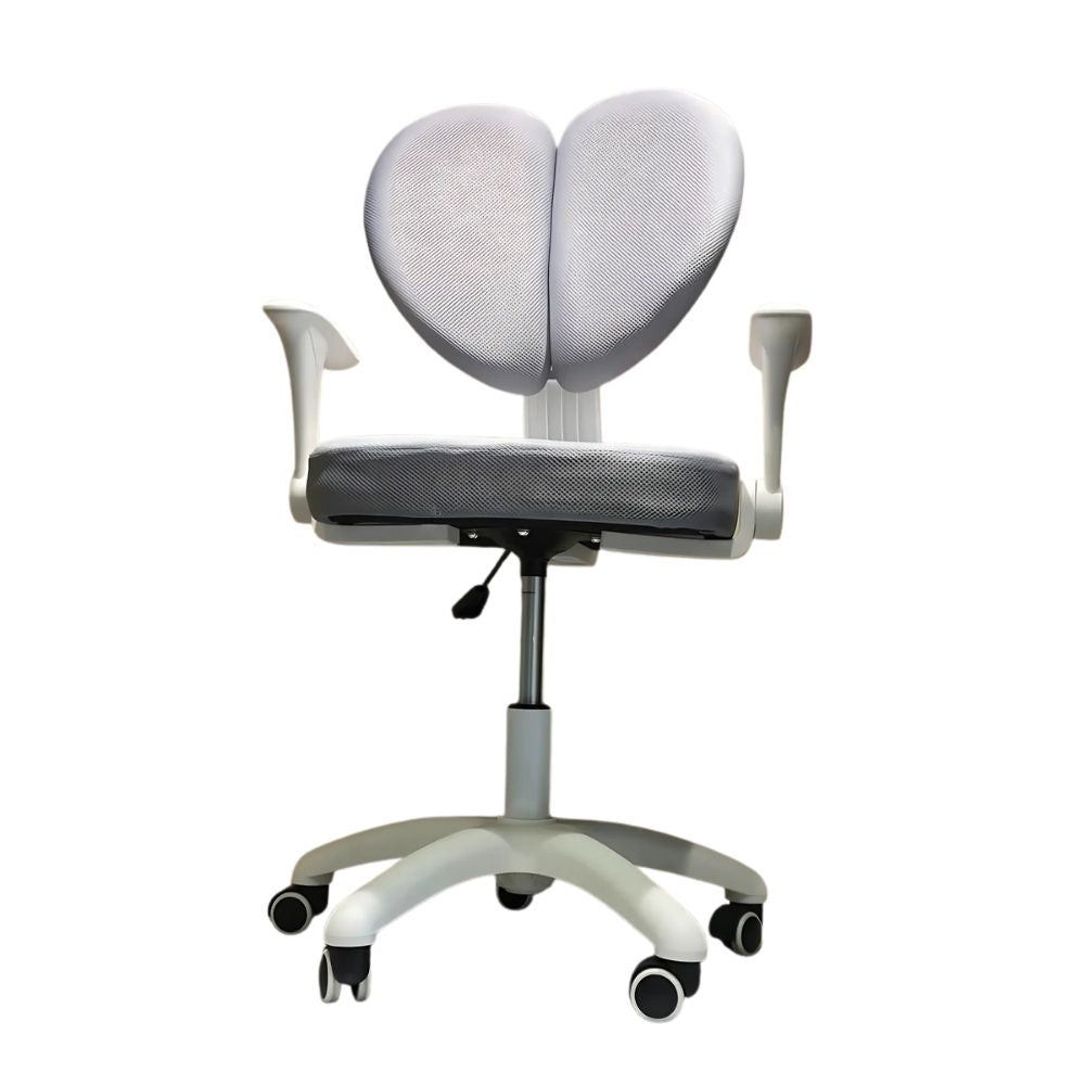 RSE Ergonomic Office Chair with Dual Back Support Adjustable Armrests Smooth Wheels Breathable Seat for Comfortable Work Study at Home or Office