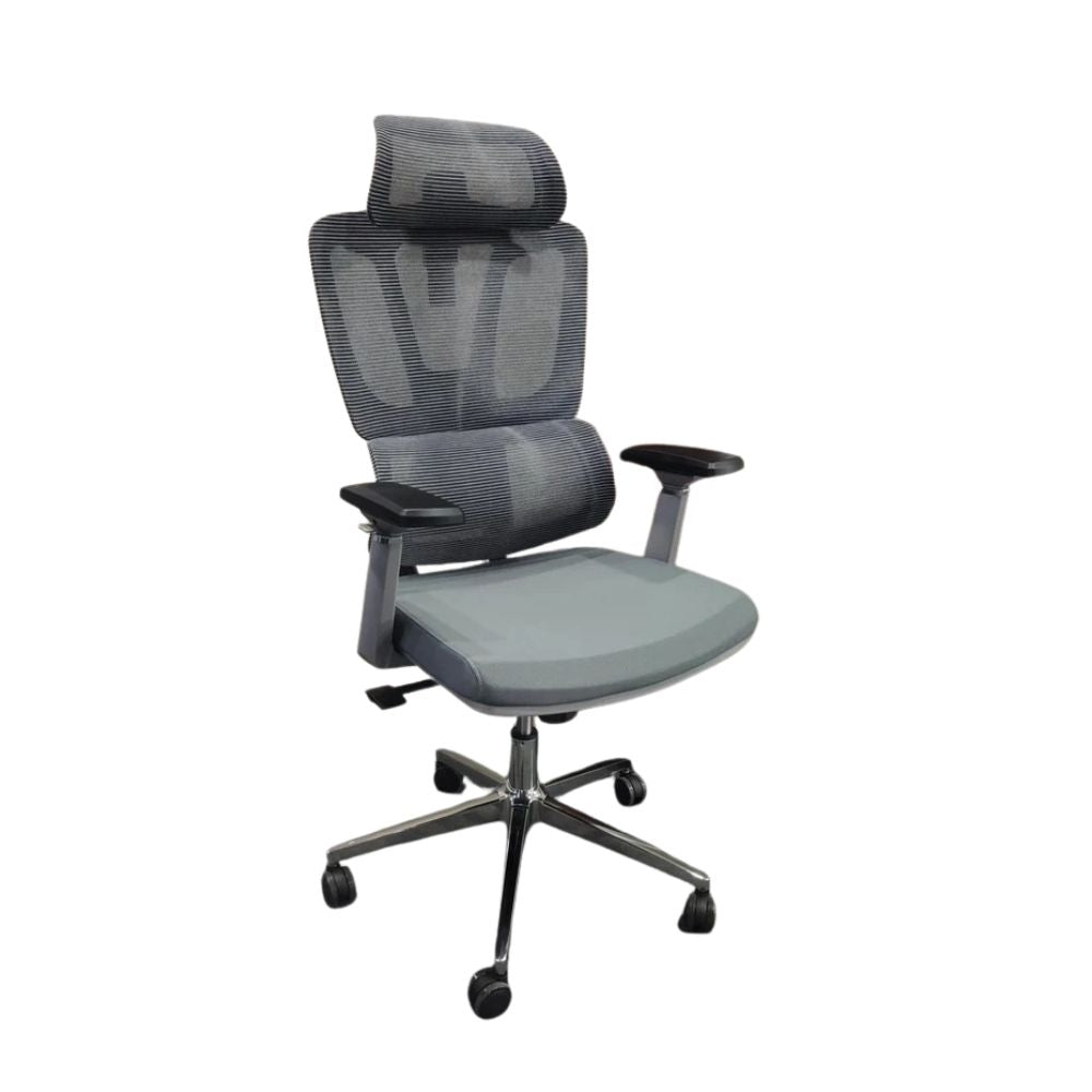 RSE Ergonomic Office Chair with Adjustable Armrests Mesh Back Cushioned Seat Swivel Wheels for Desk Work Home Office Conference Room Support Comfort